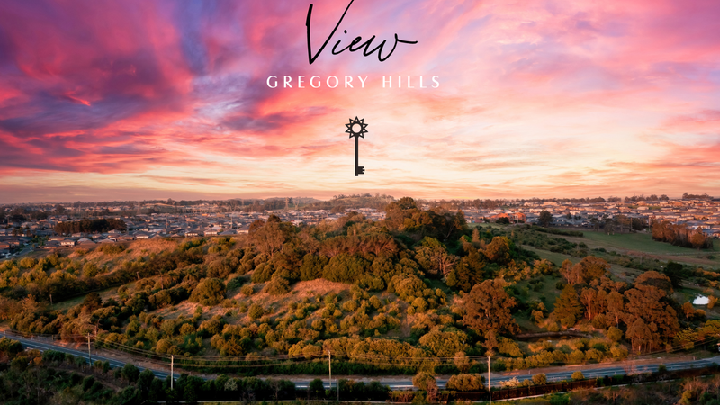 the view