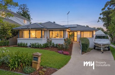 41.jpg