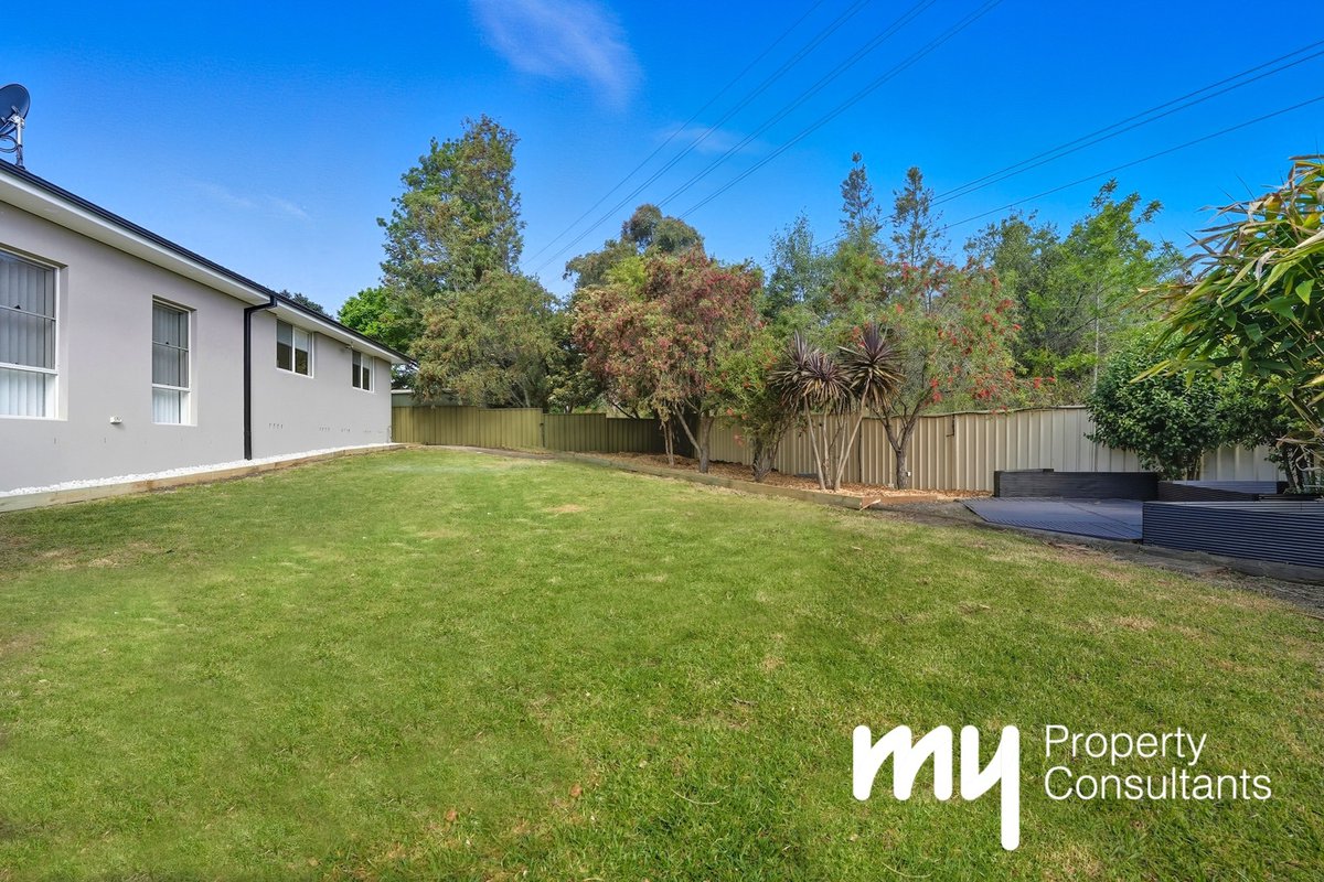a8.jpg