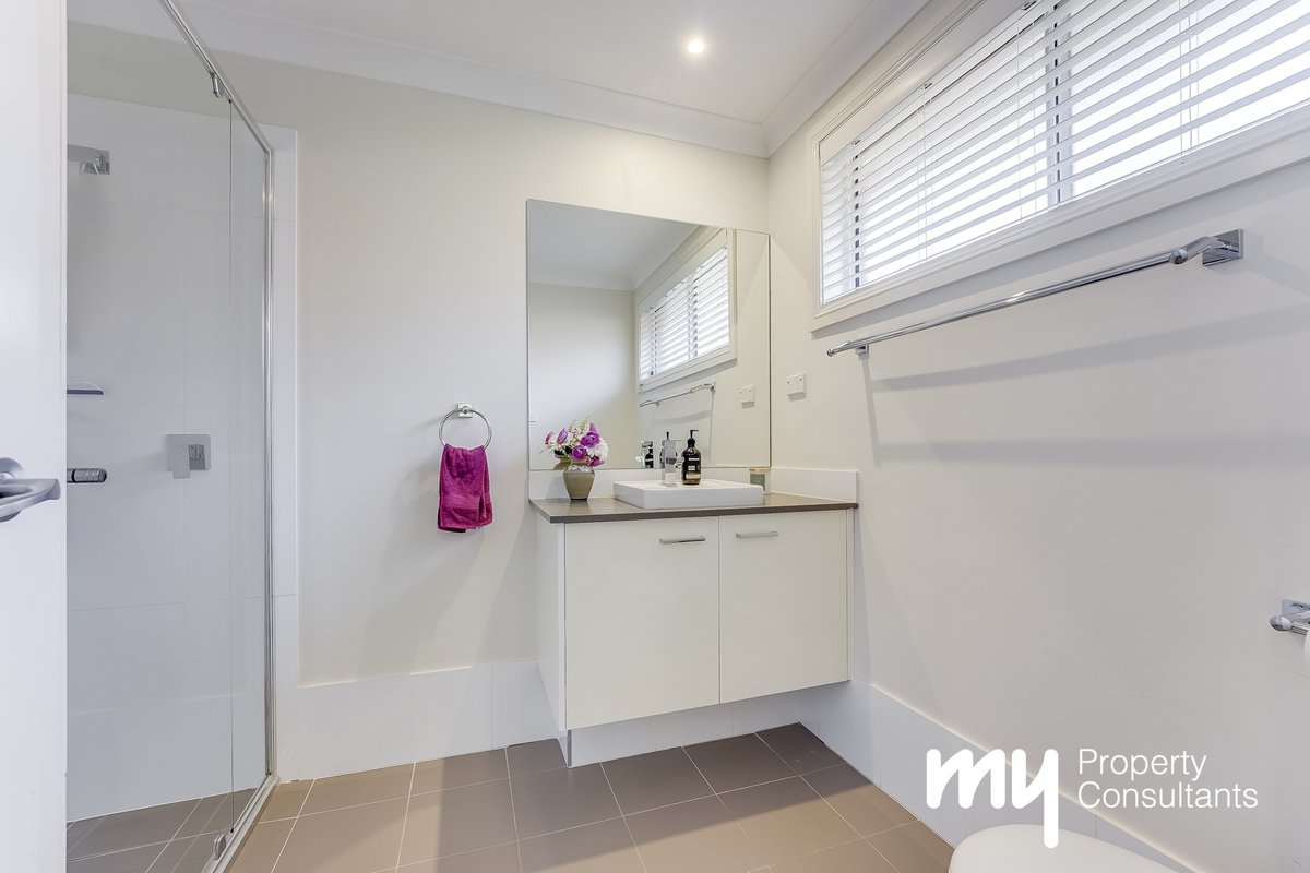 d1.jpg